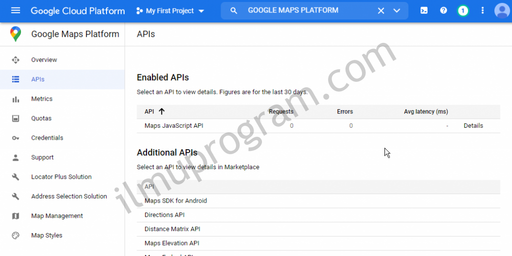 SUCCESS ENABLE MAPS JAVASCRIPT API