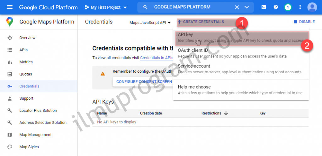 API KEY CREATE CREDENTIAL GOOGLE MAPS API